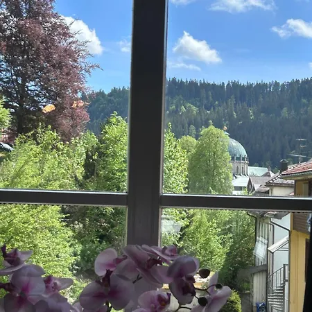 Stilvolle Mit Dom-blick & Balkon Zentral In *